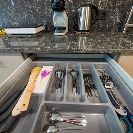 Sway In Apartament Połąga