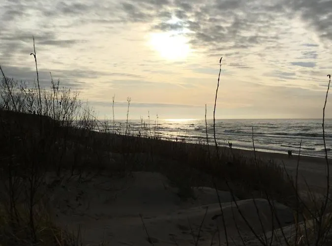 アパート Sway In パランガ